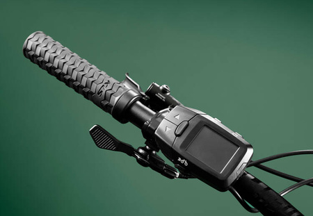 THEOS R30 P MAGIC GREEN 29"/27.5" 725Wh